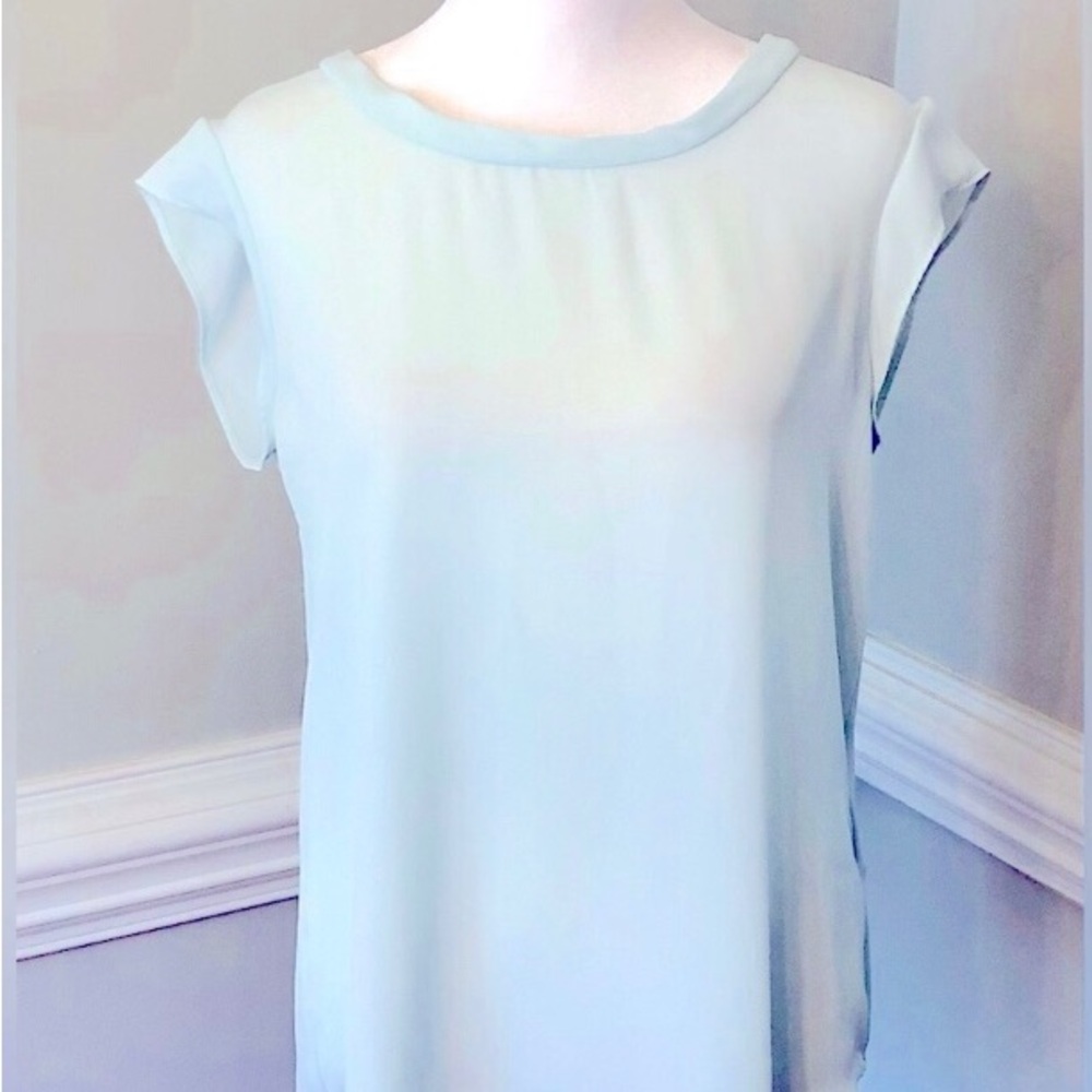 Banana Republic Blue Relaxed Short Sleeve Blouse